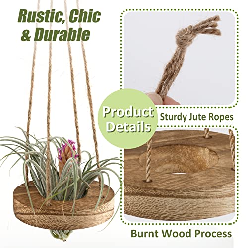 6 Pcs Hanging Wooden Air Plant Holder - 3" Round Wooden Air Plant Hanger with Jute Ropes, Rustic Air Plant Stand Tillandsia Succulent Display Container for Home Office Decor (Plants Not Included)