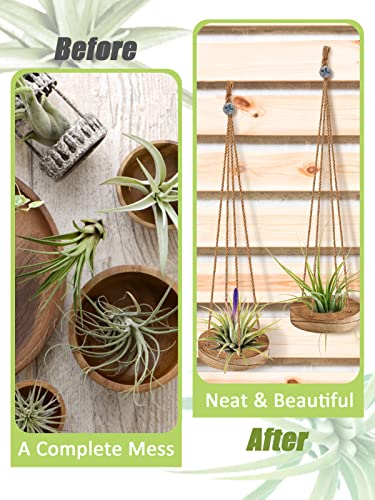 6 Pcs Hanging Wooden Air Plant Holder - 3" Round Wooden Air Plant Hanger with Jute Ropes, Rustic Air Plant Stand Tillandsia Succulent Display Container for Home Office Decor (Plants Not Included)