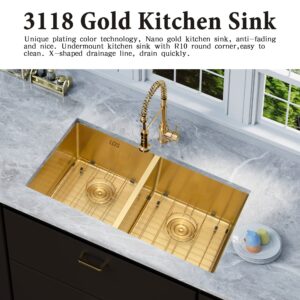 LQS Undermount Kitchen Sink Double Bowl 31 Inch Gold Colour, Stainless Steel Double Bowl Kitchen Sink, Double Bowl Kitchen Sinks with Accessories