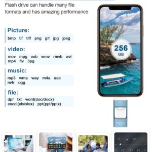 Sunany USB Flash Drive 256GB, Photo Stick Memory External Data Storage Thumb Drive Compatible for Phone, Pad, Android, PC and More Devices (Blue)