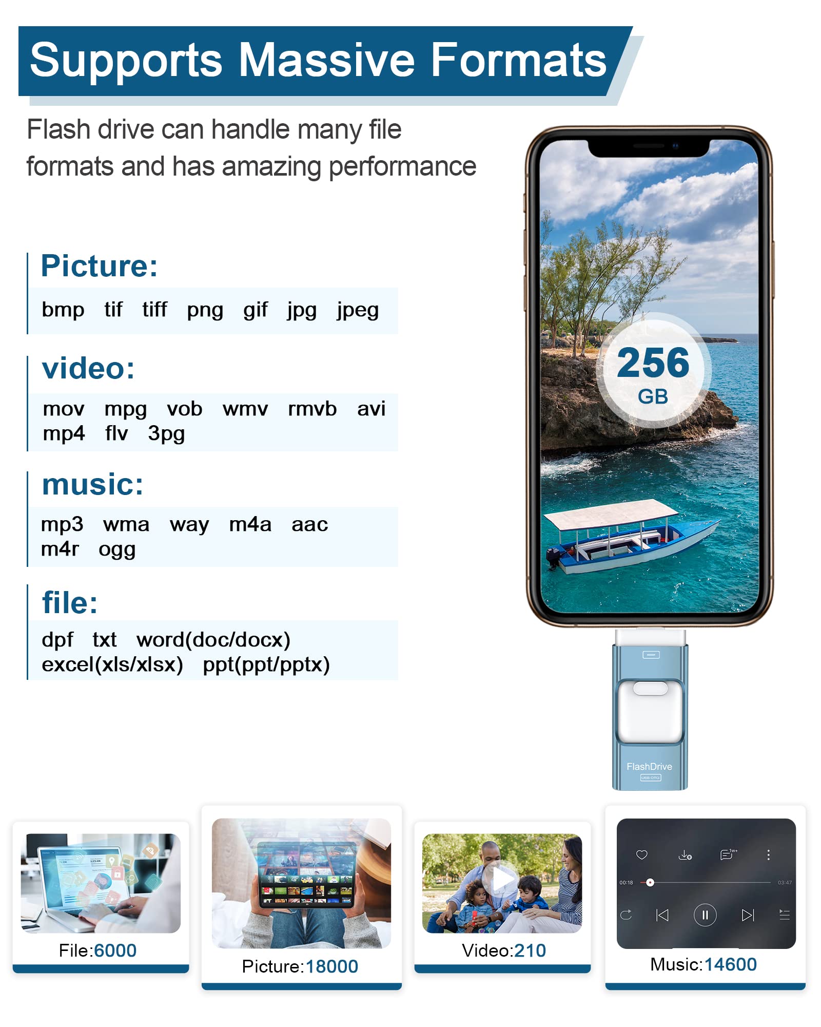 Sunany USB Flash Drive 256GB, Photo Stick Memory External Data Storage Thumb Drive Compatible for Phone, Pad, Android, PC and More Devices (Blue)