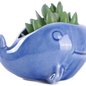 VanEnjoy 5" Ceramic Succulent Pot, Cute Ocean Blue Seashell Series, Conch Shaped Cactus Pot Planter, Flower Pot, Pottery Bonsai Pot (Dark Blue Whale)