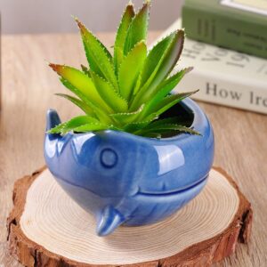 VanEnjoy 5" Ceramic Succulent Pot, Cute Ocean Blue Seashell Series, Conch Shaped Cactus Pot Planter, Flower Pot, Pottery Bonsai Pot (Dark Blue Whale)