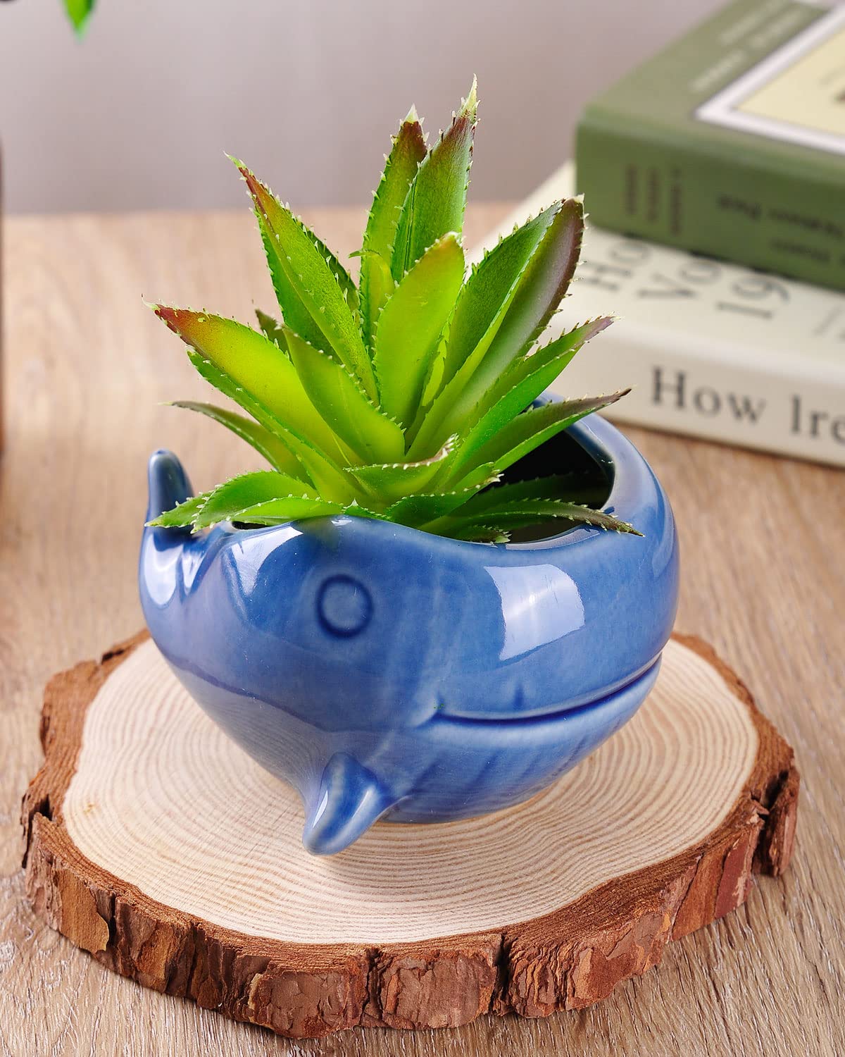 VanEnjoy 5" Ceramic Succulent Pot, Cute Ocean Blue Seashell Series, Conch Shaped Cactus Pot Planter, Flower Pot, Pottery Bonsai Pot (Dark Blue Whale)