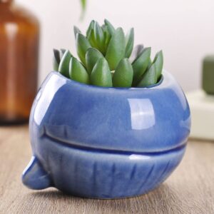 VanEnjoy 5" Ceramic Succulent Pot, Cute Ocean Blue Seashell Series, Conch Shaped Cactus Pot Planter, Flower Pot, Pottery Bonsai Pot (Dark Blue Whale)