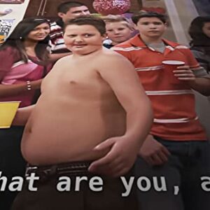 Gibby "What Are You, A Cop?" Flag, Funny Flag for College Dorm, Available In Sizes From 40" To 90", Skin-friendly Soft High-definition Meme Flag(Size:40"×30")