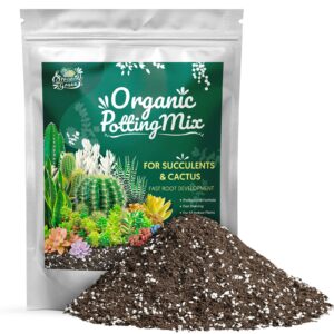 sprout n green organic potting mix for succulents cactus, 2 quarts indoor plants soil, for bonsai, flowers, vegetables, herbs, orchid, premixed house garden grow soil blend special formulated