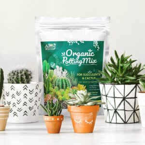 Sprout N Green Organic Potting Mix for Succulents Cactus, 2 Quarts Indoor Plants Soil, for Bonsai, Flowers, Vegetables, Herbs, Orchid, Premixed House Garden Grow Soil Blend Special Formulated