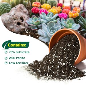 Sprout N Green Organic Potting Mix for Succulents Cactus, 2 Quarts Indoor Plants Soil, for Bonsai, Flowers, Vegetables, Herbs, Orchid, Premixed House Garden Grow Soil Blend Special Formulated