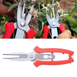 Kadimendium Tree Trimmers, Garden Secateurs Bonsai Tools for Outdoor Use for Branches for Fruit Yield