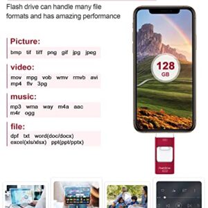Sunany Flash Drive 128GB, USB Memory Stick External Storage Thumb Drive Compatible for Phone, Pad, Android, PC and More Devices (Red)