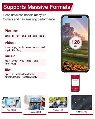 Sunany Flash Drive 128GB, USB Memory Stick External Storage Thumb Drive Compatible for Phone, Pad, Android, PC and More Devices (Red)