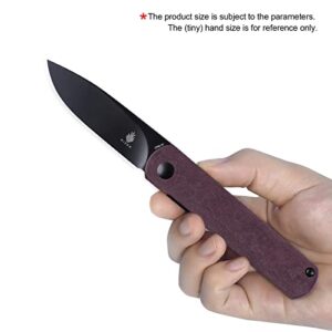 Kizer Feist EDC Pocket Knife, 4V Steel Blade and Richlite Handle Folding Knife for Office, Outdoor, Daily Carry, Ki3499R3