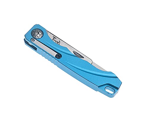 Tungyi Daily Pocket Folding Utility Knife with Key Ring and 10 Replaceable Quick Change Blades, Ultra Compact and Lightweight (Blue)