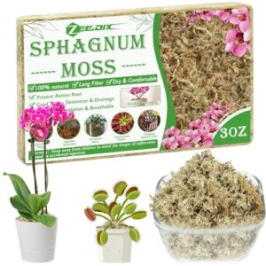 zeedix 3oz premium sphagnum moss for plants, 4qt natural long fibered orchid moss sphagnum peat moss bulk for carnivorous,orchid,sarracenia,succulent,venus fly traps and reptiles
