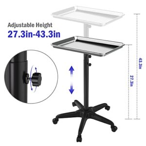 Salon Tray-Salon Instrument Tray on Wheels, Rolling Tray Adjustable Height Salon Cart, Dental Carts,Hairdresser Cart, Silver.