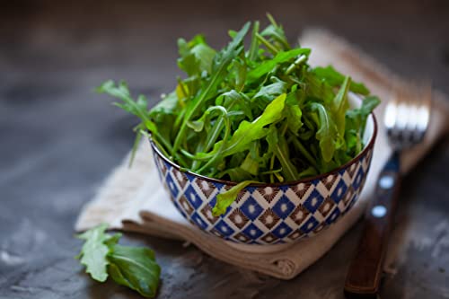 Arugula Seeds for Planting, 350 Arugula Rocket Seeds, Eat Arugula Fresh from Your Own Garden, High Germination, Heirloom Vegetable Varieties, Non-GMO