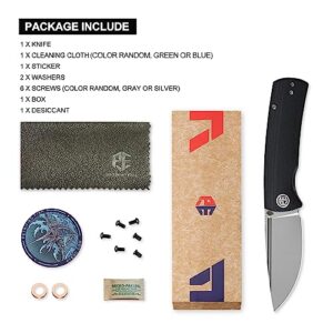 Petrified fish PFP01X Beluga,2.99" 14C28N Sand blasting Blade,95.6g G10 Hande Front Flipper Liner lock Folding knife (Sand blasting, Black G10)