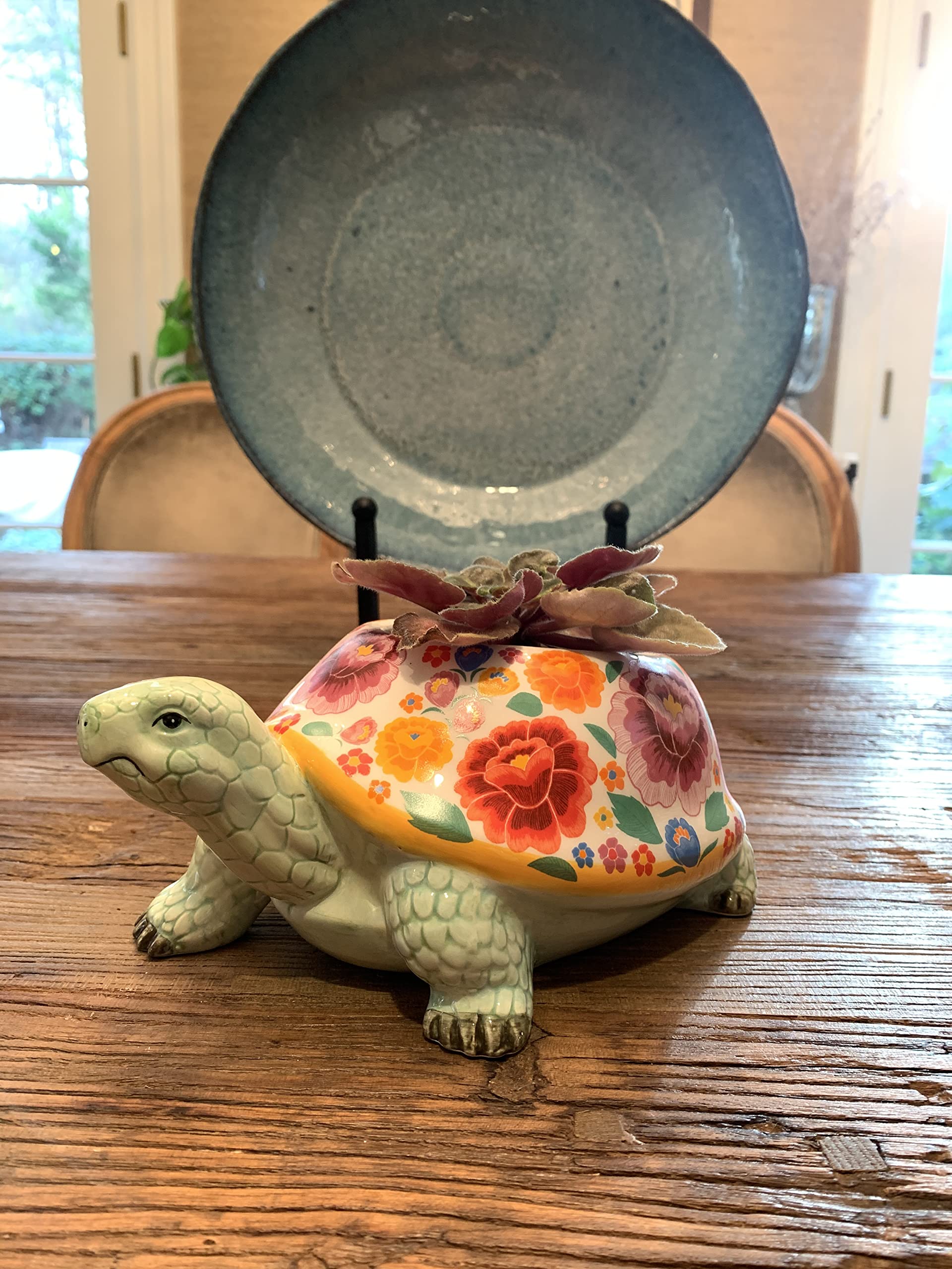 Streamline Imagined Turtle Planter