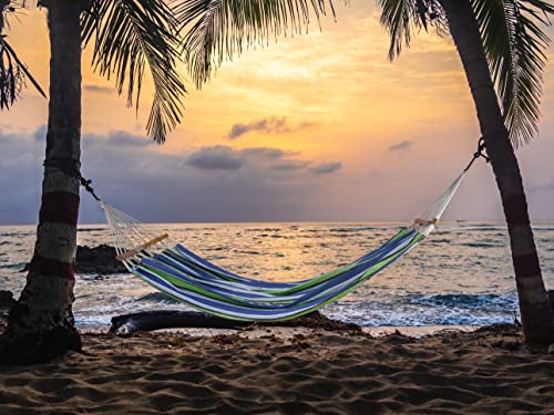 Lxoohy Portable Patio Double Hammock with Travel Bag, 2 Person Outdoor Hammock with Foldable and Curved Spreader Bar, D Rings and Tree Straps for Camping, Picnic, Backyard, Green Blue