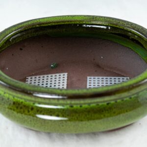 Calibonsai Oval Mame Shohin Bonsai / Cactus & Succulent Pot + Mesh 6inchx 5inchx 2inch - Moss Green Stain Glazed