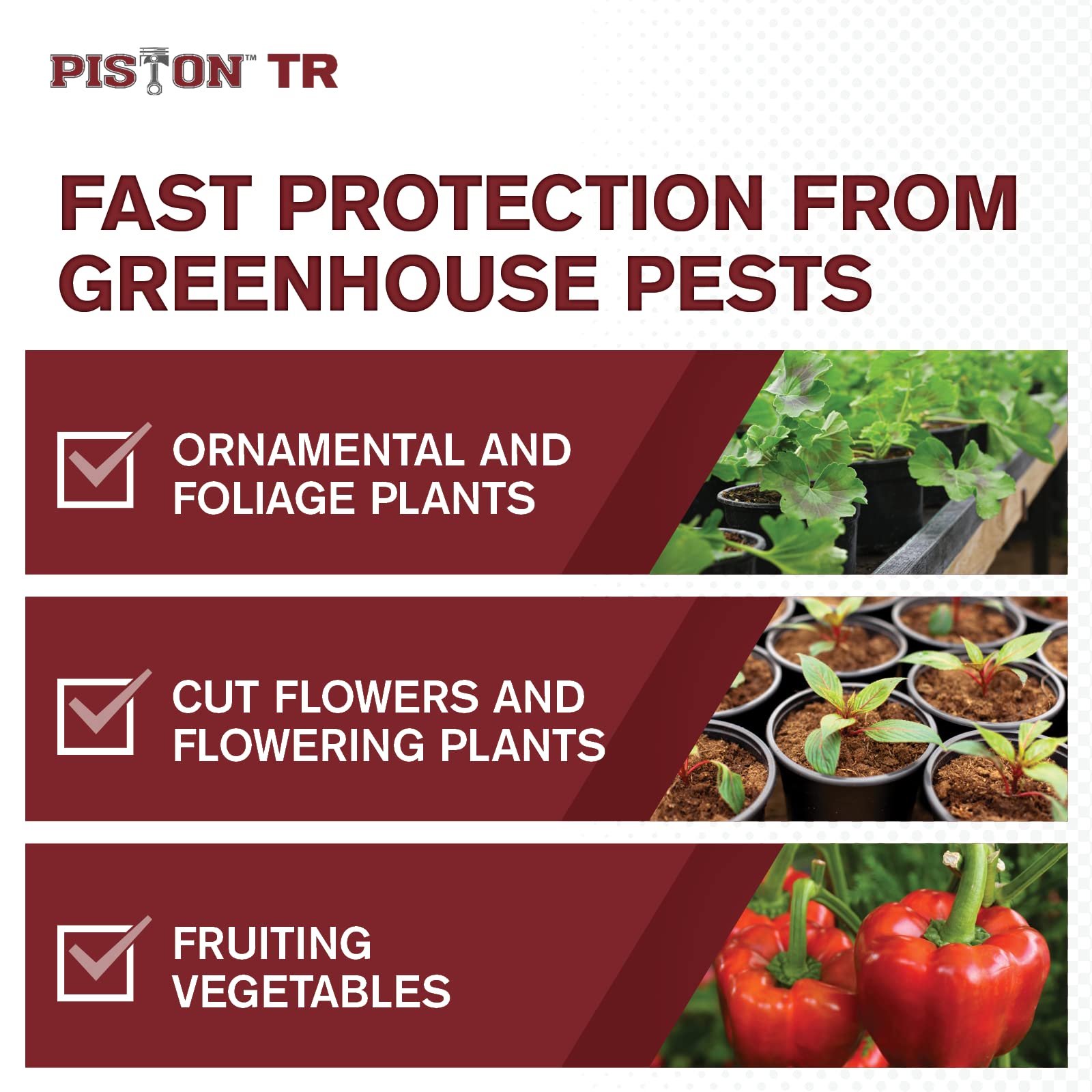 Piston TR Greenhouse Fogger (2oz Can) by Atticus (Compare to Pylon) - Total Release Chlorfenapyr Insecticide/Miticide - Controls Mites, Thrips, Caterpillars, and Adult Fungus Gnats