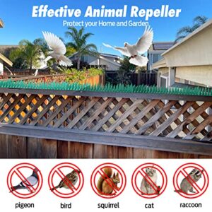 edola Bird Spikes for Outside 20 Pack, Squirrel Cat Dog Pigeon Deterrent, Plastic Animal Defender Spikes for Fence, Keep Cats Birds Away