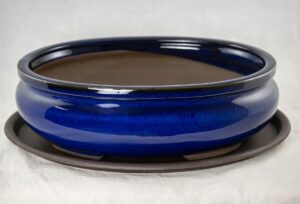calibonsai oval glazed bonsai / succulent pot + tray + mesh 12''x 8.5''x 3.75'' - dark blue