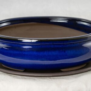 Calibonsai Oval Glazed Bonsai / Succulent Pot + Tray + Mesh 12''x 8.5''x 3.75'' - Dark Blue