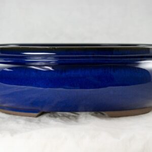 Calibonsai Oval Glazed Bonsai / Succulent Pot + Tray + Mesh 12''x 8.5''x 3.75'' - Dark Blue