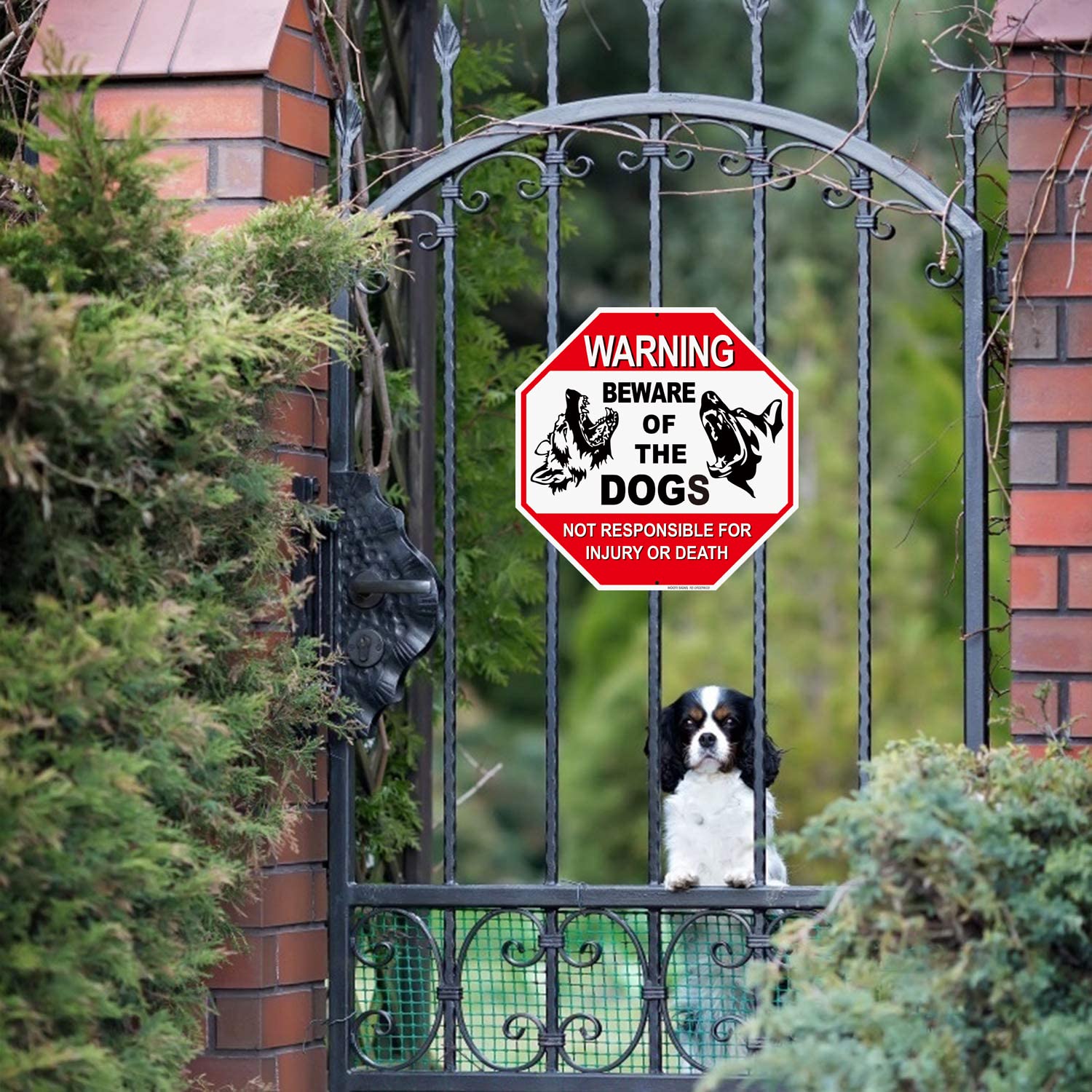 Beware of Dog Sign Reflective Highly Visible 12x12" Dog Warning Signs Beware of The Dogs Aluminum Warning Sign,2 Pack, Not Responsible for Injury Or Death , Business, Driveway Alert