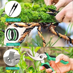 FANSTATE Bonsai Tree Kit, 24 PCs Bonsai Tools Set High Carbon Steel Succulent Trimming Tools Set Include Pruning Shears, Cutters, Training Wires, Bonsai Grooming Care Kit for Starter Gardening Gifts