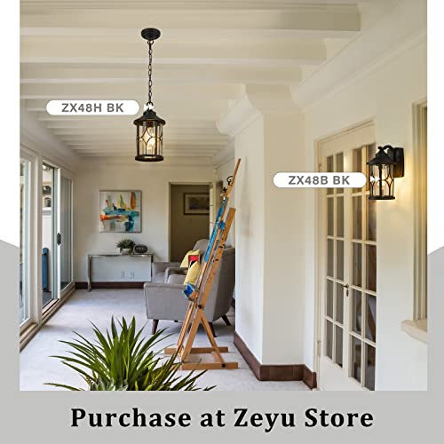 zeyu Outdoor Pendant Light for Porch - 12 Inch Farmhouse Exterior Hanging Lantern with Seeded Glass, Black Finish, ZX48H BK