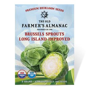 the old farmer's almanac heirloom brussels sprouts seeds (long island improved) - approx 700 seeds - non-gmo, open pollinated, usa origin