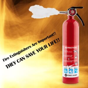 BRK BRANDS, INC First Alert FE1A10GR195 HOME1 Rechargeable Standard Home Fire Extinguisher UL Rated 1-A:10-B:C Pack of 2 Includes Wholesalehome Cleaning Cloth.