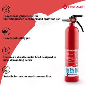 BRK BRANDS, INC First Alert FE1A10GR195 HOME1 Rechargeable Standard Home Fire Extinguisher UL Rated 1-A:10-B:C Pack of 2 Includes Wholesalehome Cleaning Cloth.