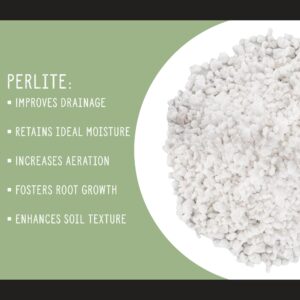 Horticultural Perlite Soil Additive (4 Quarts); for Enhanced Potting Mix Drainage and Growth