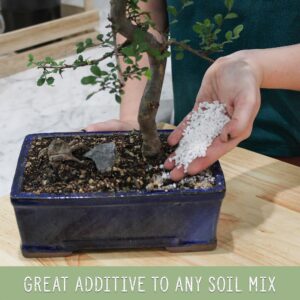 Horticultural Perlite Soil Additive (4 Quarts); for Enhanced Potting Mix Drainage and Growth