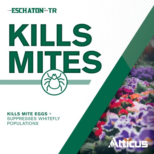 Eschaton TR Greenhouse Fogger (2oz Can) by Atticus (Compare to Beethoven) - Total Release Etoxazole Insecticide/Miticide - Kills Mites and Suppresses Whiteflies