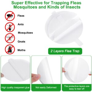 24 Pcs 2 Layers Refill Glue Boards 4.3 Inches Fly Glue Boards Mosquito Trap Glue Board Sticky Refillable Glue Board, Suitable for Most Mosquito Lamps