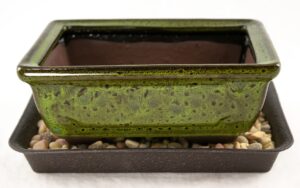 calibonsai 6inch rectangular moss green shohin bonsai/succulent pot + tray + rock + mesh combo, blue,green