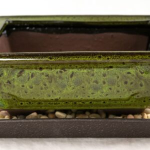 Calibonsai 6inch Rectangular Moss Green Shohin Bonsai/Succulent Pot + Tray + Rock + Mesh Combo, Blue,green