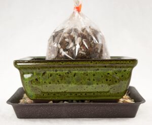 calibonsai 6'' rectangular moss green shohin bonsai pot + soil + tray + rock + mesh kit, blue,green
