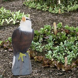 Hausse Bird Scarecrow Fake Horned Hawk Decoy, Bald Eagle Bird Repellent Garden Protectors, Falcon Scare Birds Away Deterrent Scarecrow for Garden Yard Outdoor