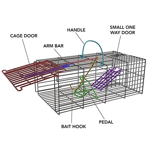 BLACK+DECKER Rat Trap- Rat Traps Indoor & Outdoor- Humane Mouse Trap Cage- Live Animal Trap for Squirrels Chipmunks and Other Small Rodents- Catch and Release No Kill Mouse Traps