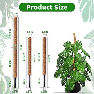 ICoirstream Coir Moss Pole Plant - 2 Pcs 31.5 Inch Coir Moss Pole Bendable and Stackable to 55 Inches - Use Alone or Together. Support Poles for Indoor Climbing Plants