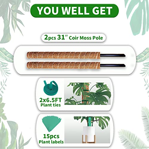 ICoirstream Coir Moss Pole Plant - 2 Pcs 31.5 Inch Coir Moss Pole Bendable and Stackable to 55 Inches - Use Alone or Together. Support Poles for Indoor Climbing Plants