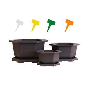mondware three training plastic hexagonal bonsai pot and trays + plastic shovel and 12 t-shaped markers