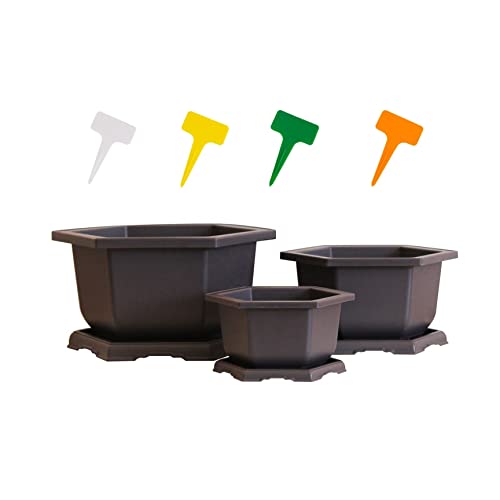 MONDWARE Three Training Plastic Hexagonal Bonsai Pot and Trays + Plastic Shovel and 12 T-Shaped Markers