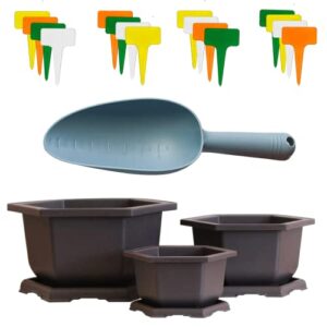 MONDWARE Three Training Plastic Hexagonal Bonsai Pot and Trays + Plastic Shovel and 12 T-Shaped Markers